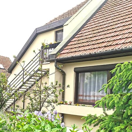 Ambient Deluxe Apartman Gyula Exterior foto