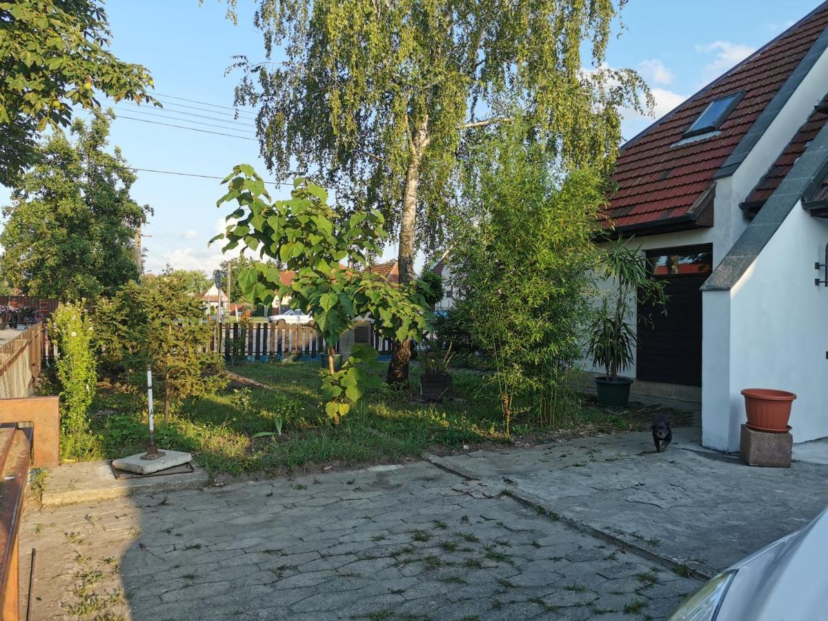 Ambient Deluxe Apartman Gyula Exterior foto